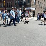 2023 Bay Ridge Brooklyn Memorial Day Parade