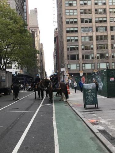 2019 NYC Veterans Day Parade, 5th Avenue
