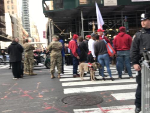 2019 NYC Veterans Day Parade